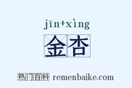 金杏是什么意思的图片